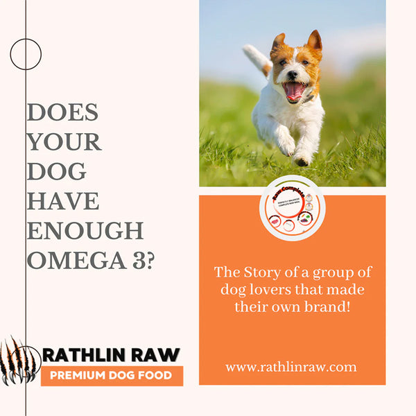 Does your dog get enough Omega 3?