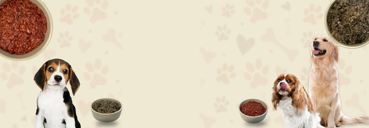 Rathlin Raw <strong>Premium</strong> Dog Food
