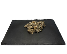 Load image into Gallery viewer, Green Tripe - Double Minced