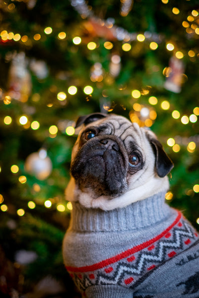 Celebrating the Holidays and Temporary Factory Closure