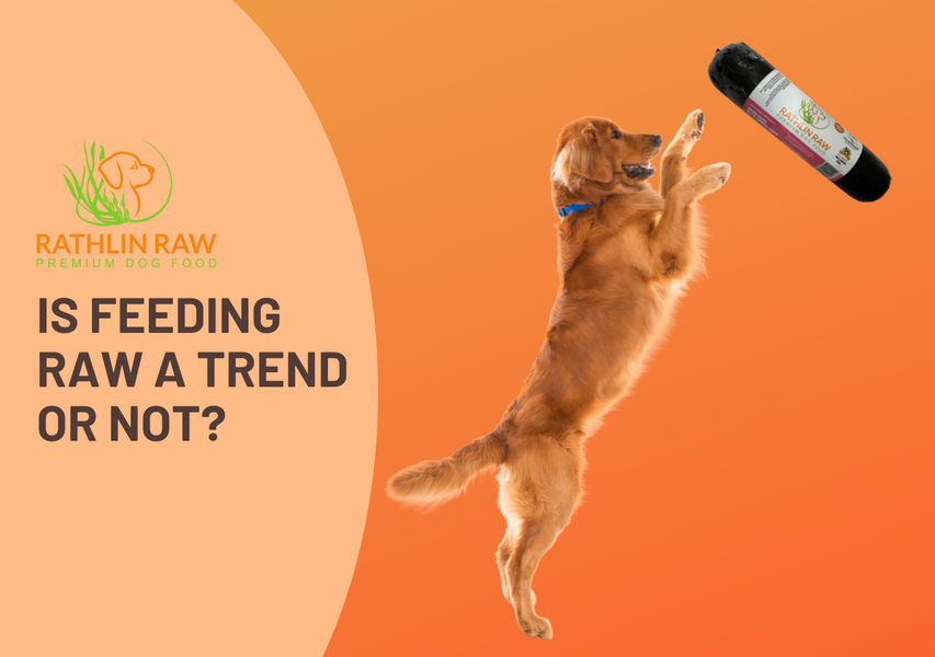 Is Feeding Raw a Trend or not?