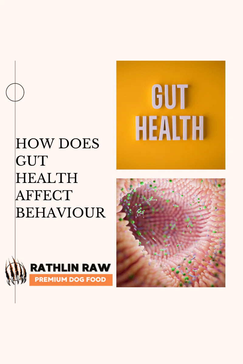 How Does Gut Health Affect Behaviour - Rathlin Raw