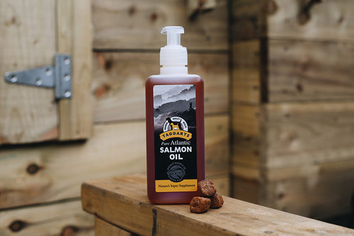 Taggarts Pure Atlantic Salmon Oil